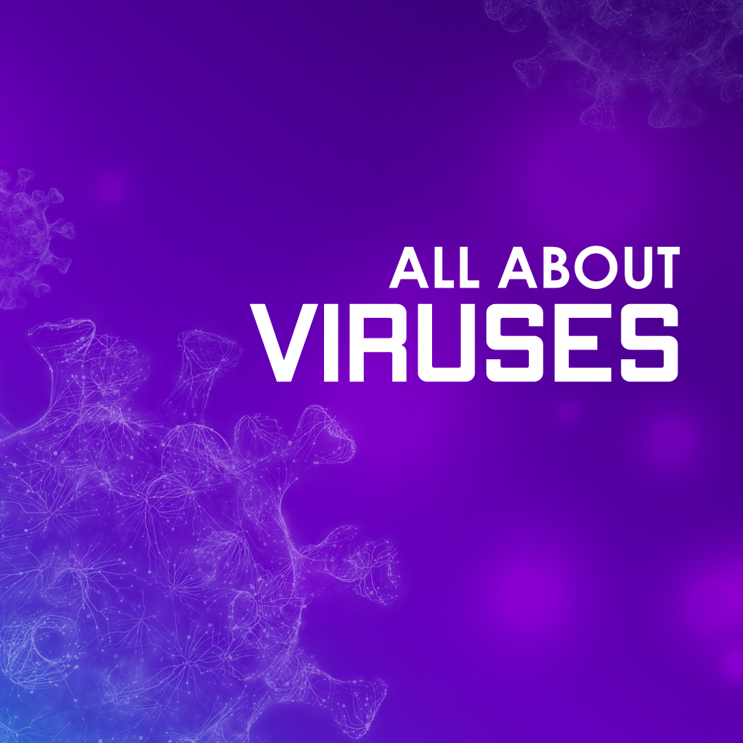 All About Viruses