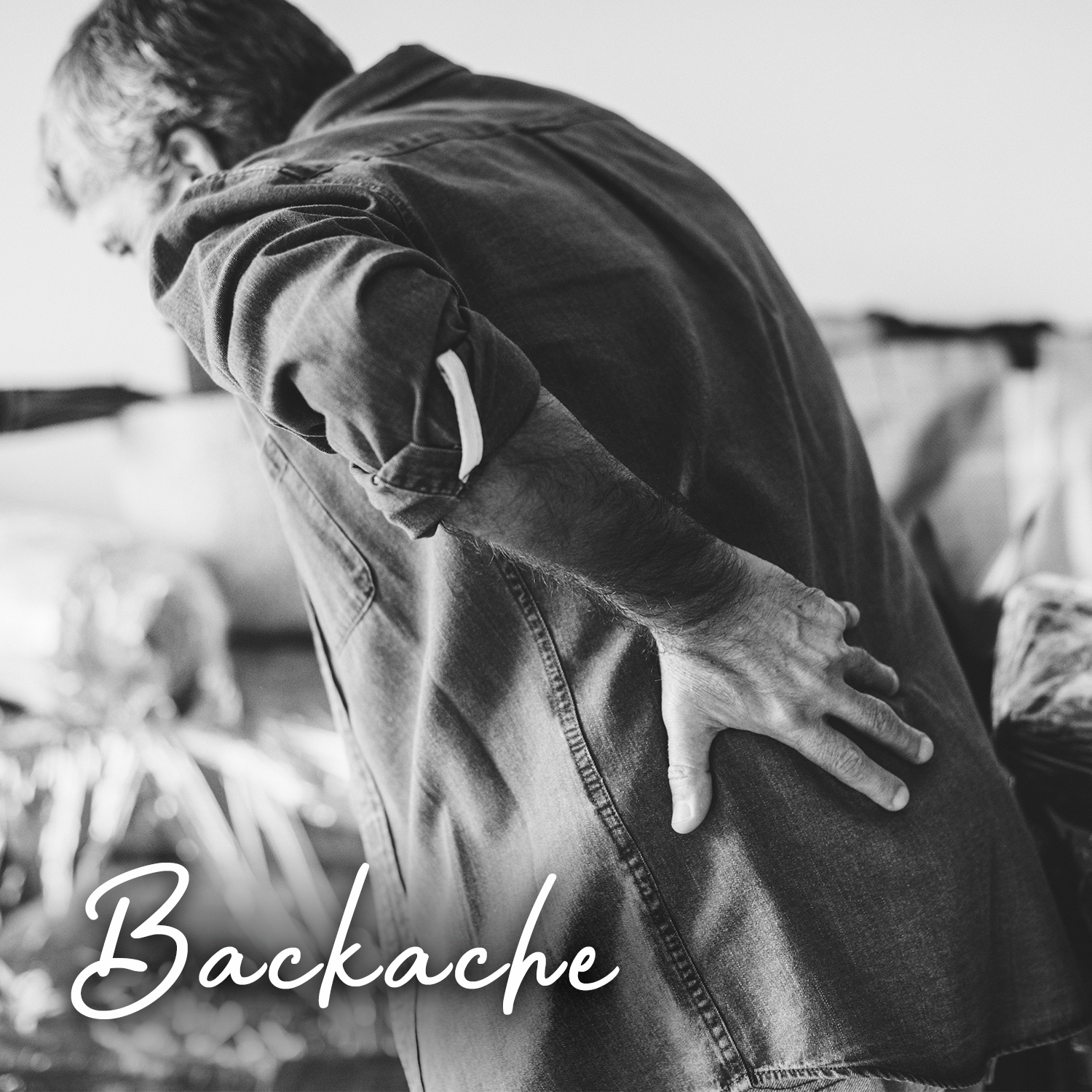 back pain natural supplements