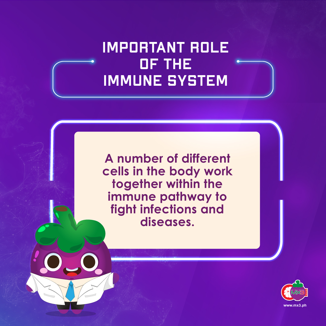 IMPORTANT ROLE OF THE IMMUNE SYSTEM