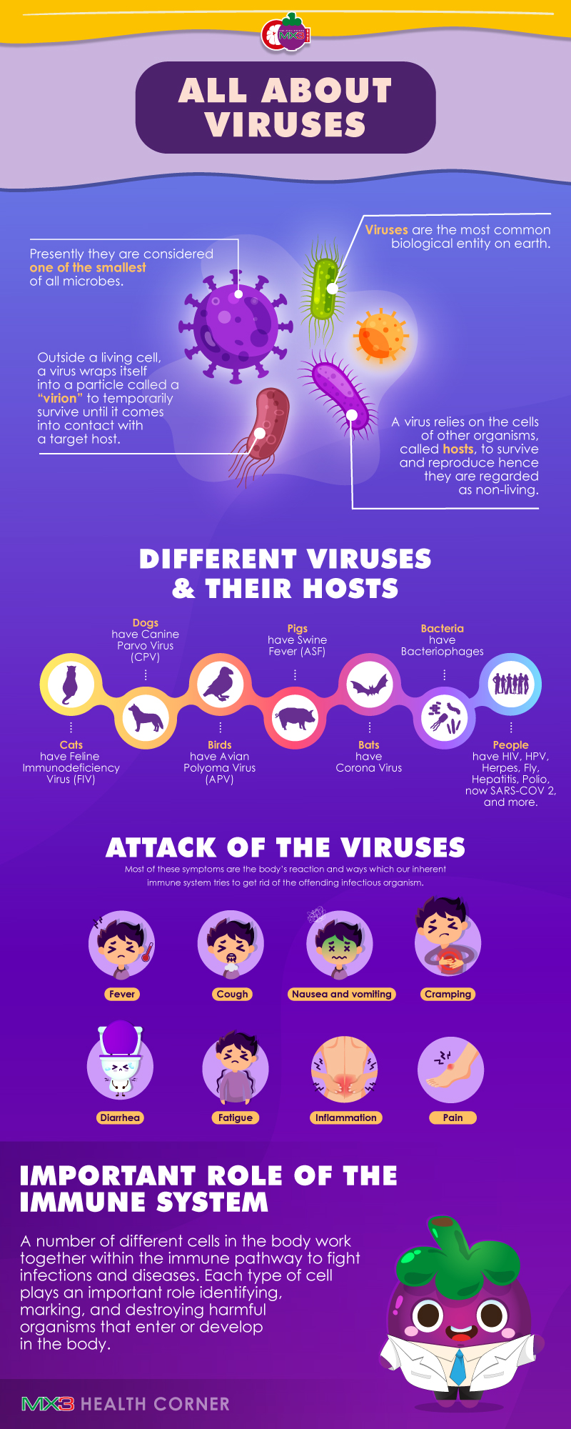 infographic all about viruses